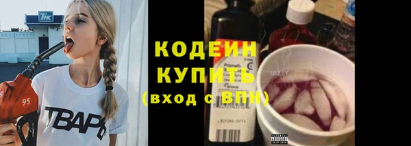 хмурый Арсеньев