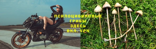 СК Балахна