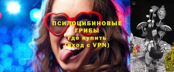 хмурый Арсеньев