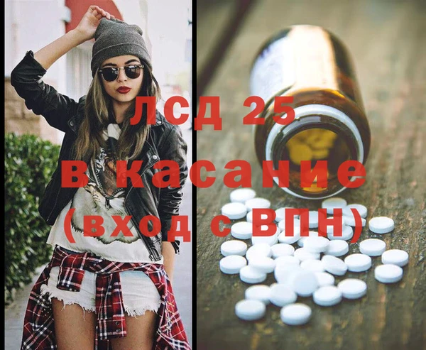 хмурый Арсеньев