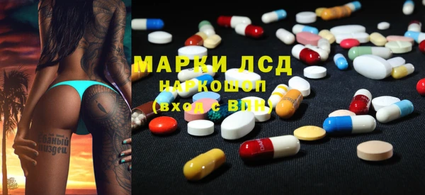 хмурый Арсеньев
